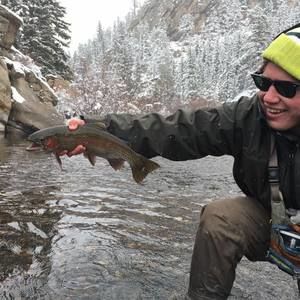 Meet your Posher, Billy